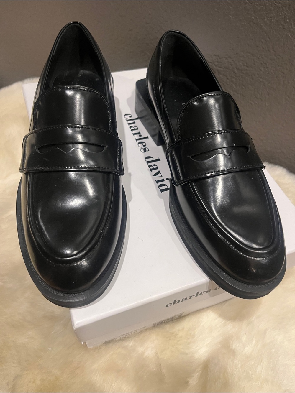 Charles David penny loafer